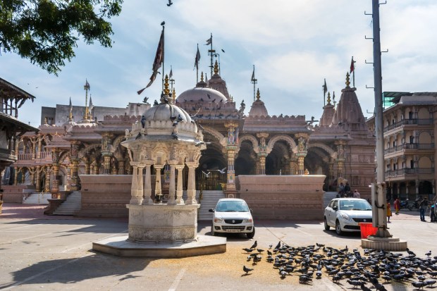 swaminarayan_temple_wide